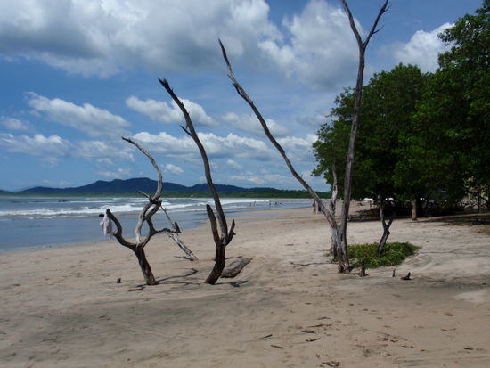 Der schöne Strand von Tamarino