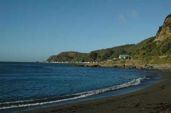 Unser erster Schlafplatz im Van (Breaker Bay, Wellington)
