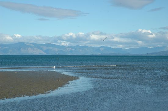 Moewen, Muscheln, Meeresrauschen