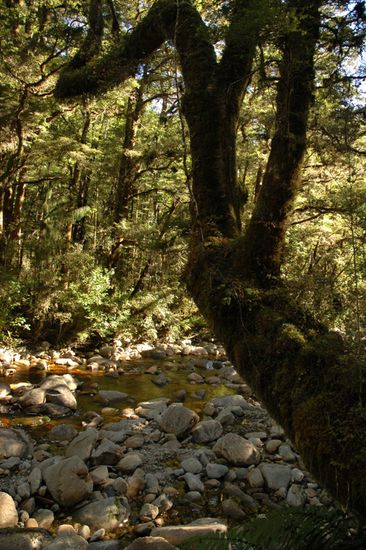 Ort unserer vergeblichen Goldsuche