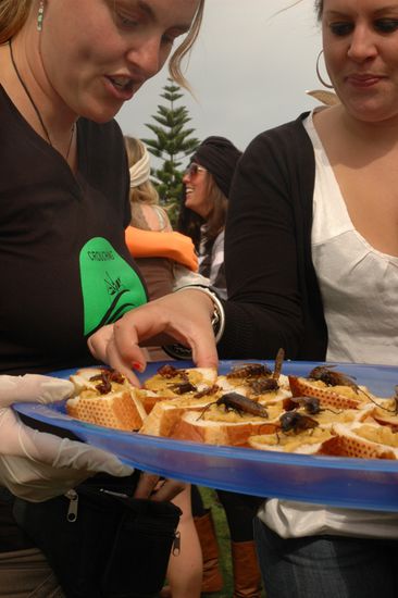 ...um sich die Koestlichkeiten...