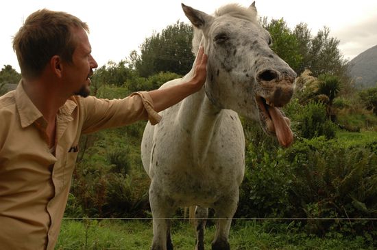 Der Pferdepfluesterer bei der Arbeit