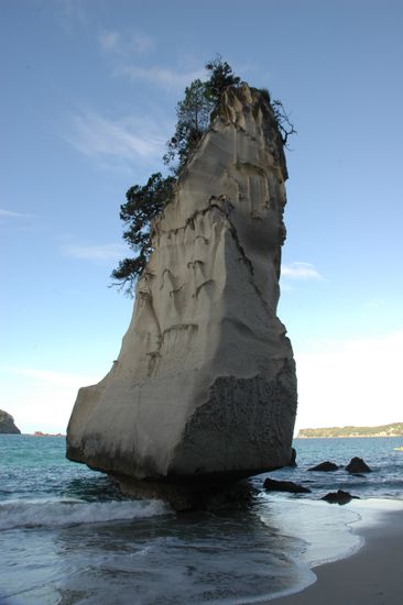 Cathedral Cove