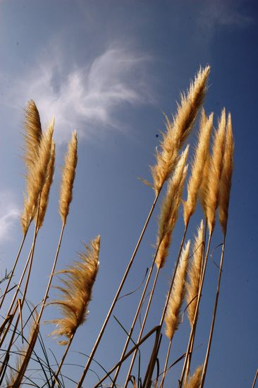 Endlich wieder in der Natur...