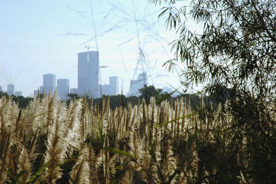 ...wenn leider auch mit ein paar...