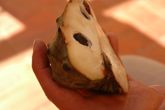 Besonders spannend ist das Probieren uns unbekannter Koestlichkeiten.