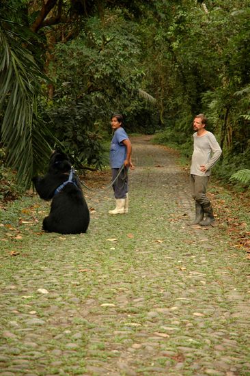 Alles interessiert Balou mehr als anstrengendes Spazierengehen.