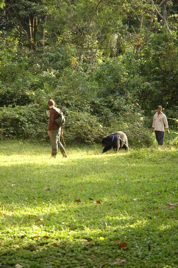 Noch ist alles unter Kontrolle