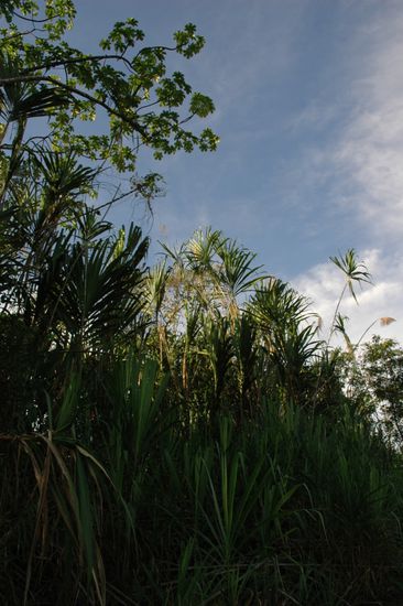 Warten in idyllischer Umgebung