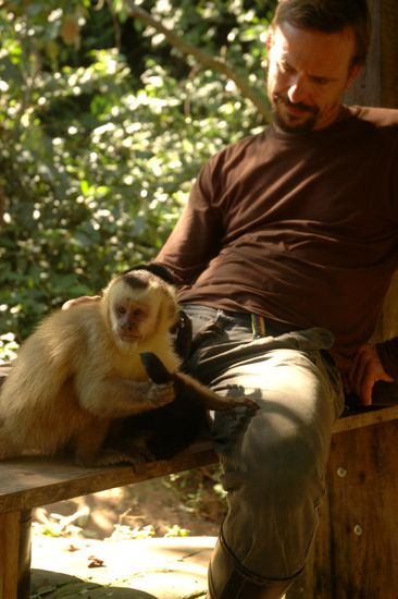 Affenfreundschaft