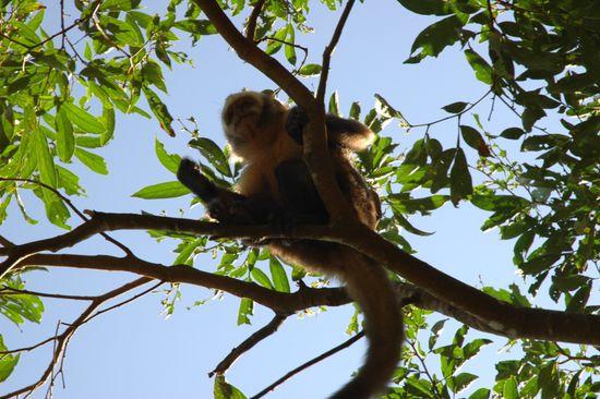 ...nach einer schnellen Moeglichkeit an Futter zu kommen.