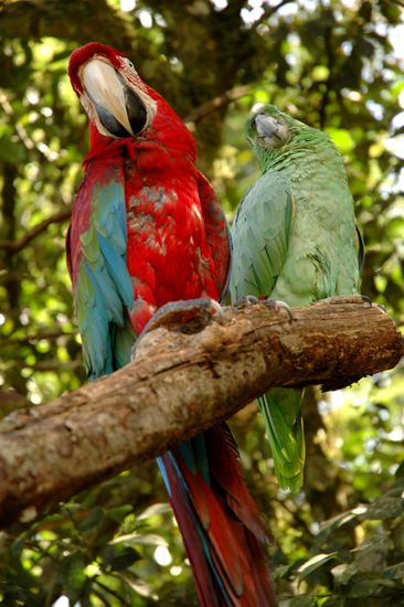 Romanze zwischen Twitch und Olivia?