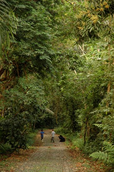 Balou schluepft aus seinem Gurt