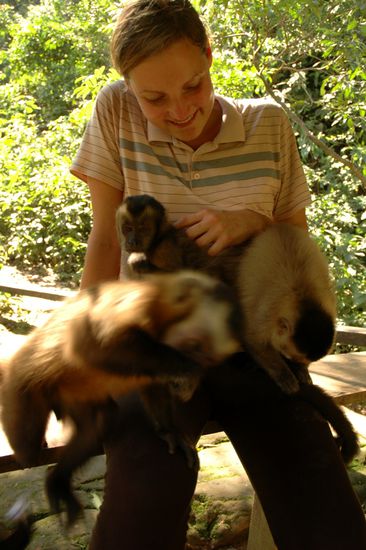 Im Affenpark fuehle ich mich sicher und wohl bei meinen Affenkumpels.