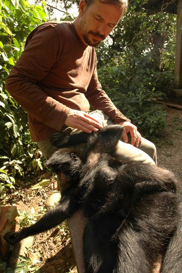 Wie kann man davon denn genug kriegen?