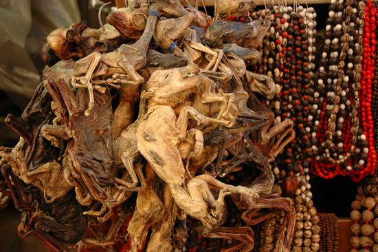 Hier gibt es alles, was das Hexenherz begehrt und was sich gut an Touristen verscherbeln laesst.