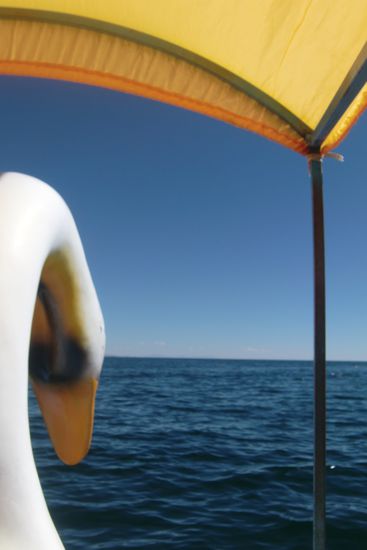 Entspannung beim Treetbootfahren...