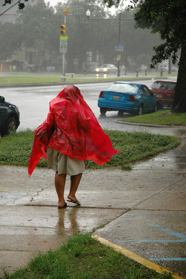 Ein einstündiger Regen...