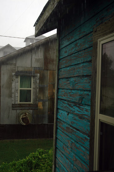 Schaut man genau auf den Rasen, kann man die Red Bugs sehen