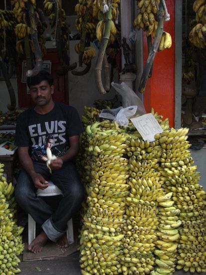 In der Bananenstrasse