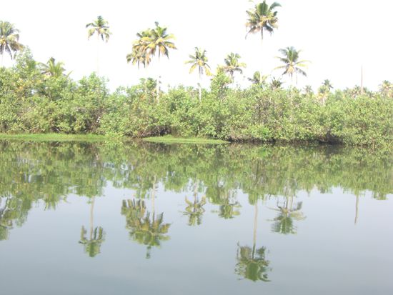 Spiegelbild Backwaters