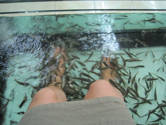 Die Ueberwindung war gross!