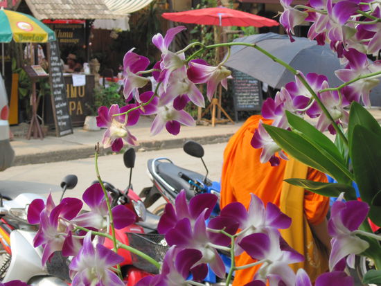 Bei soviel Sonne brauchts einen Regenschirm!