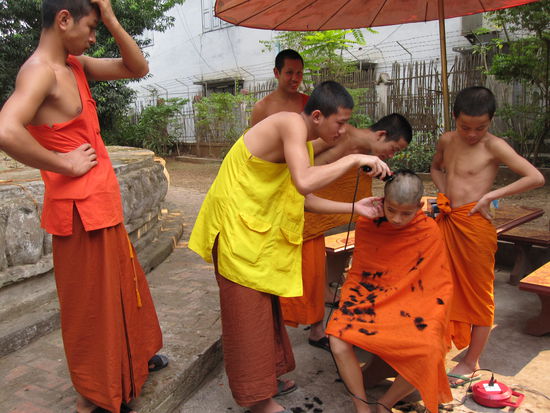 Zum bevorstehenden Vollmond werden die Haare rasiert