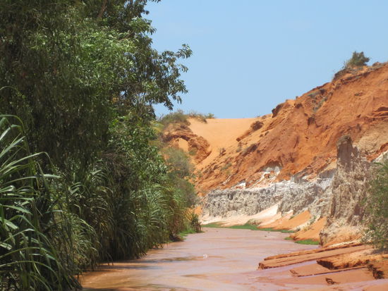 Gruen - braune Kontraste