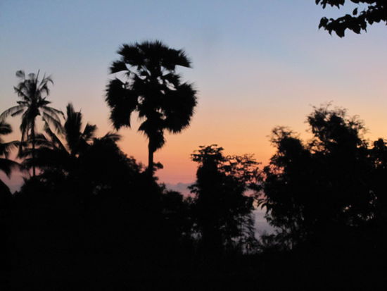 Morgenstimmung vor meinem Fenster 