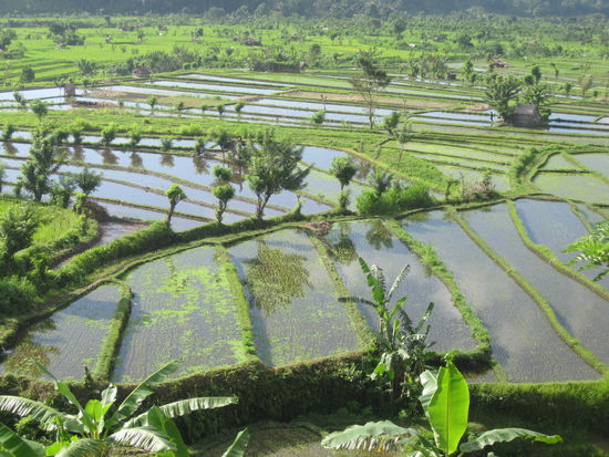 zwischen Amed und Candidasa