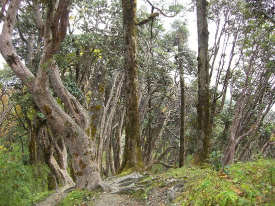 Wo ist hier nur der Weg?