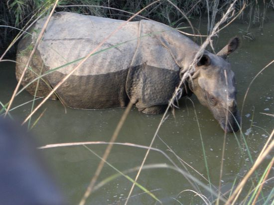 Aus sicherer Entfernung!