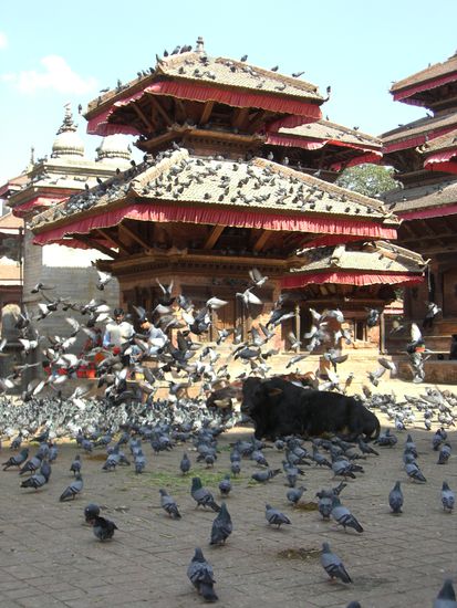 Mitten auf dem Durbar Square!