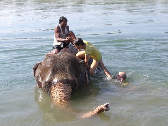 Ins Wasser geplumpst!