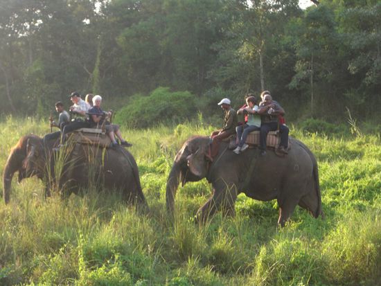 Hier wird man gut durchgeschuettelt!