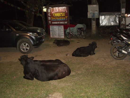 ... vielleicht den Parkplatz?