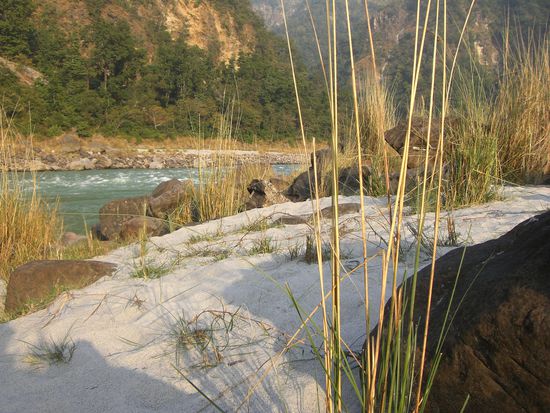 Der Ganges: hier noch wilder Gebirgsbach mit Sandstrand