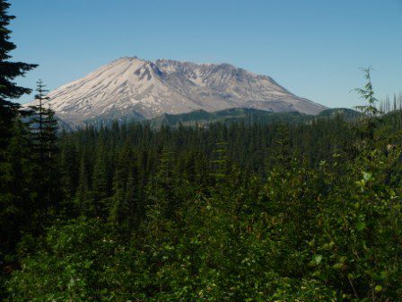 Wir fuhren weiter und schliesslich auf der 99 rein ins St Helens Nacional Volcanic Monument. Schon vom ersten Overlook aus konnte man diesen toten, zerstörten Berg sehen.