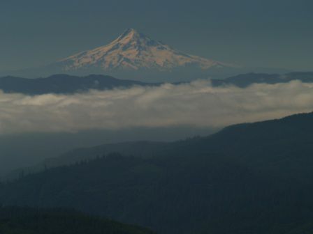 Von der Strasse aus konnte man den Mt Adams und Mt Hood sehen. Die sahen echt spektakulär aus - Voll mit Schnee und echt spektakulär.