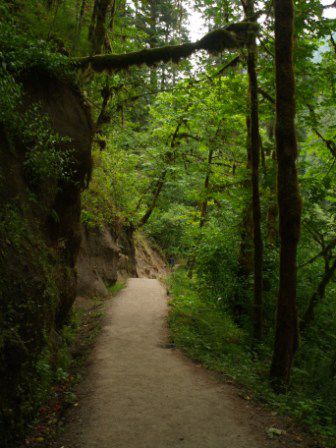 Wir waren fast alleine als wir starteten und wir liefen voll in den Wald hinein.