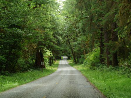 Dann, die Einfahrt zu den Olympic Regenwälder