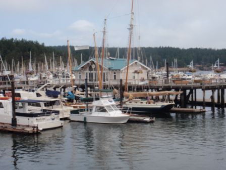 Nach einem kurzen Einkauf bei Safeway gingen wir voll in Veloausrüstung bekleidet zur Fähre nach San Juan Island.