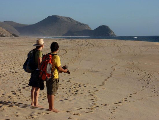 Auf dem Weg nach Cabo San Lucas, hier in Todos Santos. Ein wilder Strand mit einer tollen Lagune.