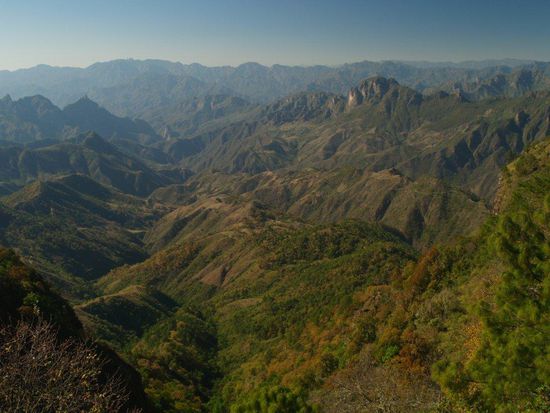 Aussicht aus dem Auto auf der Fahrt von Matzatlan nach Durango.