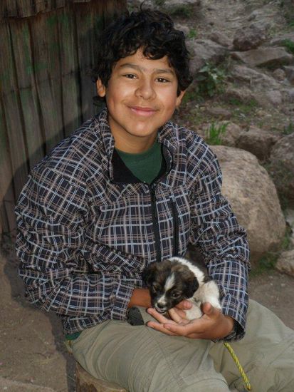 Am liebsten hätten wir ihn mitgenommen.