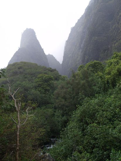 Iau Nidl auf Maui