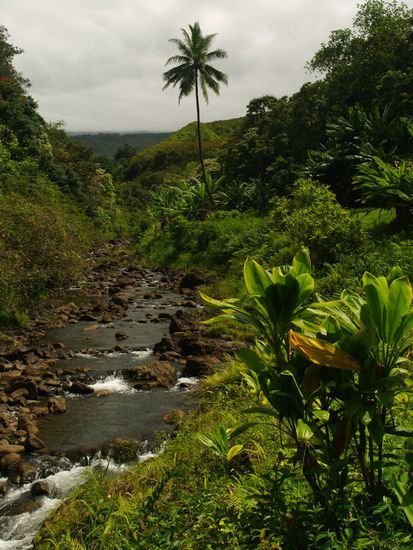 Hawaii so gruen, wie man es sich nur vorstellen kann