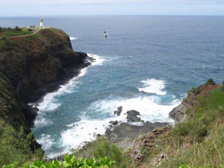 Kilauea Point, Nordkueste Kauai