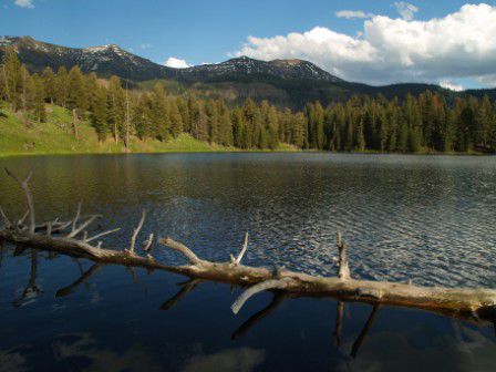 Unberuehrte Wildnis im Yellowstone